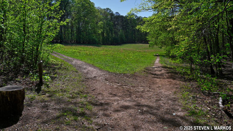 Fork in the New Salem Church Trail when hiking south, Kennesaw Mountain National Battlefield Park