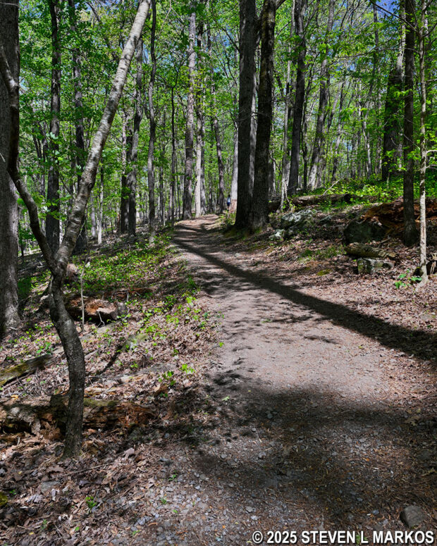 Second steep hill when hiking north on the New Salem Church Trail in Kennesaw Mountain National Battlefield Park