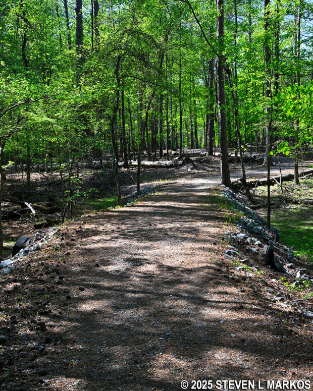 Typical terrain at the northern end of the New Salem Church Trail in Kennesaw Mountain National Battlefield Park