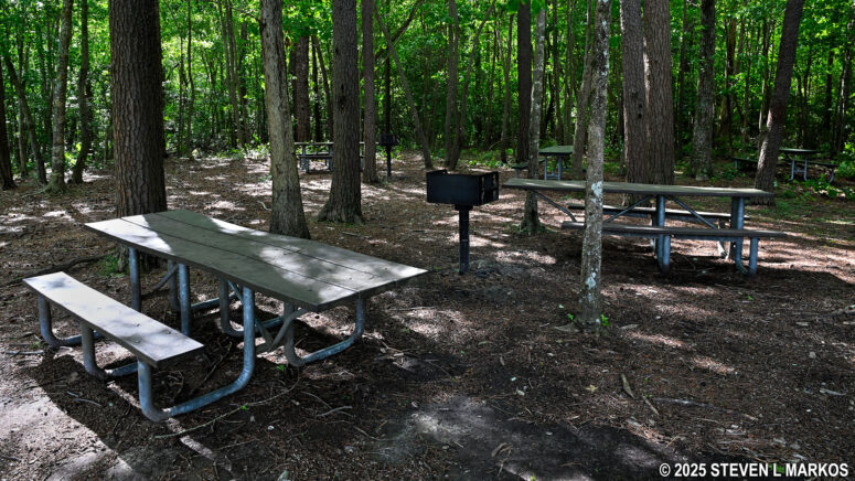 Picnic tables and grill at the Little River Falls Picnic Area, Little River Canyon National Preserve