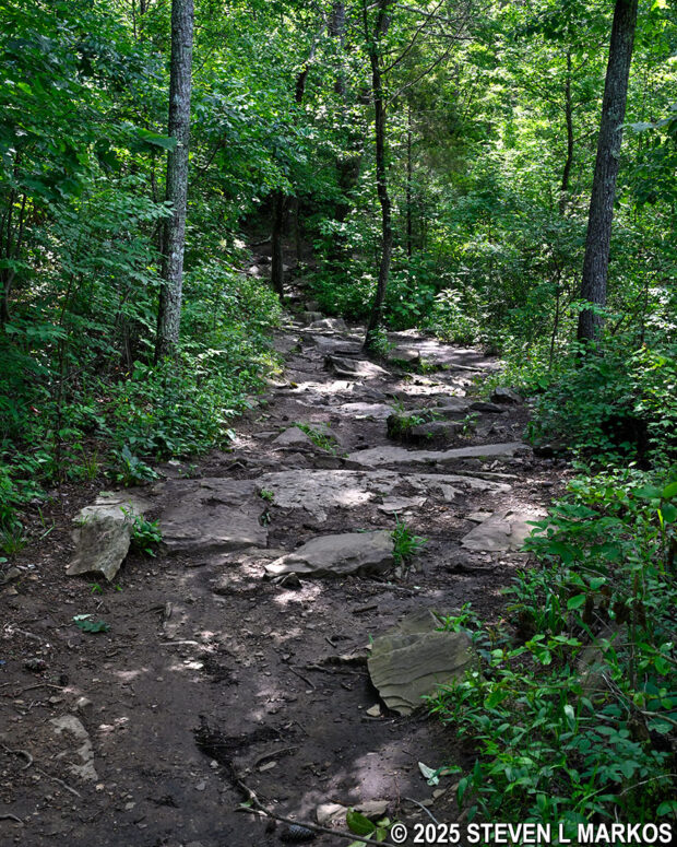 Typical rocky terrain on the Little Falls Trail in Little River Canyon National Preserve