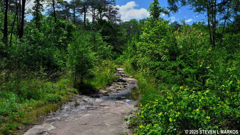 Terrain at the end of the Little Falls Trail in Little River Canyon National Preserve