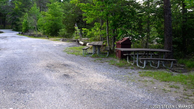 Picnic tables at the Lynn Overlook on the Canyon Rim Drive, Little River Canyon National Preserve