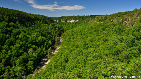 View of Little River Canyon from the Wolf Creek Overlook on the Canyon Rim Drive, Little River Canyon National Preserve