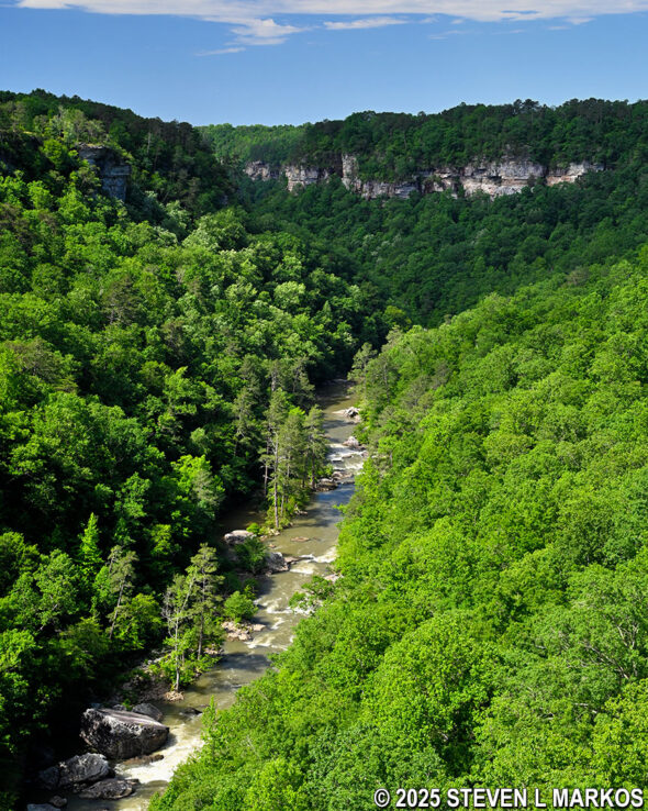 View of Little River Canyon from the Wolf Creek Overlook on the Canyon Rim Drive, Little River Canyon National Preserve
