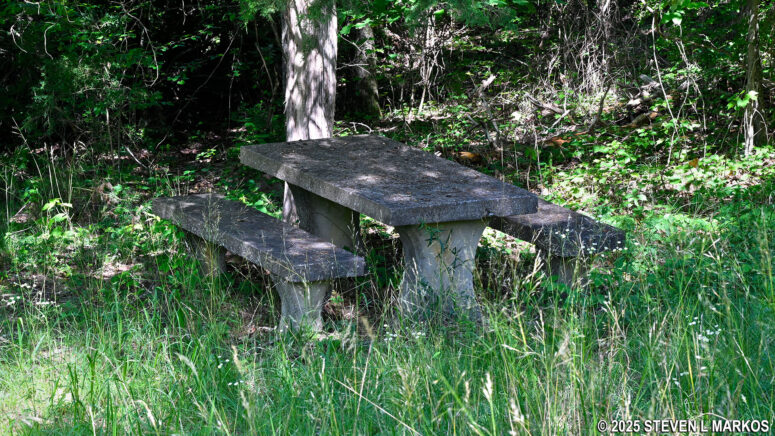 Picnic table at the Crow Point Overlook on the Canyon Rim Drive, Little River Canyon National Preserve