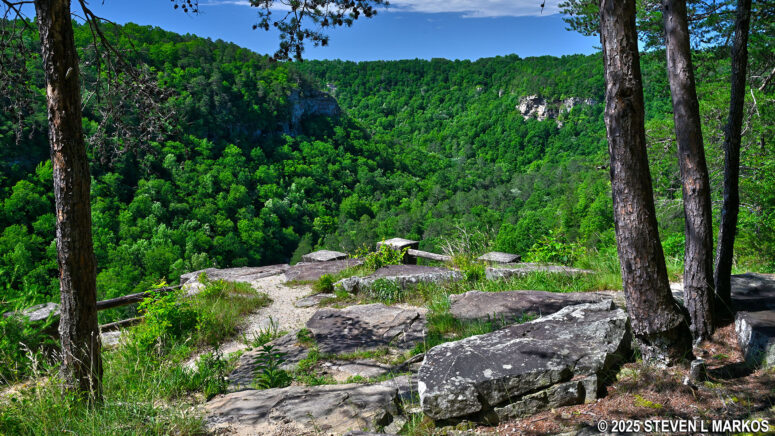 Crow Point Overlook on the Canyon Rim Drive, Little River Canyon National Preserve