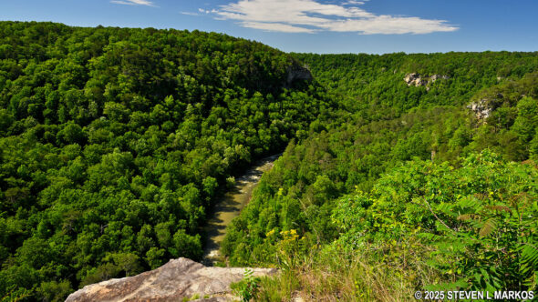 View of Little River Canyon from the Crow Point Overlook on the Canyon Rim Drive, Little River Canyon National Preserve