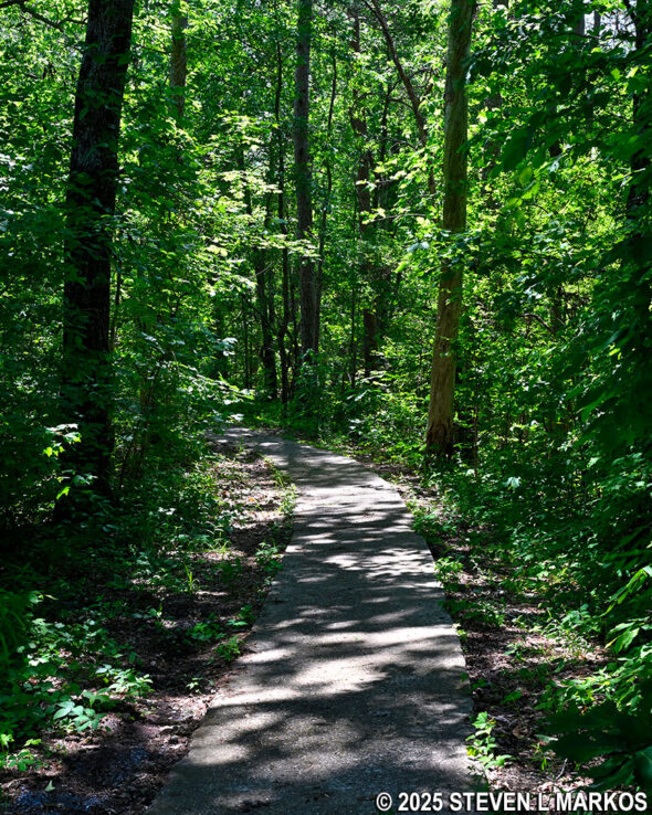 Trail from the parking lot to the Eberhart Point Overlook on the Canyon Rim Drive, Little River Canyon National Preserve