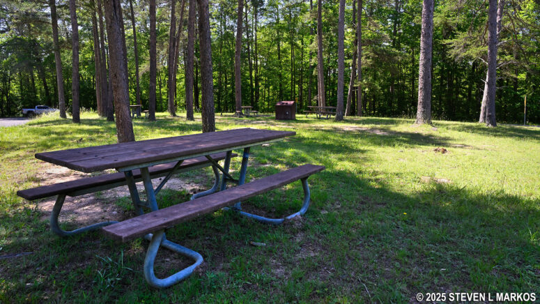 Eberhart Point Picnic Area in Little River Canyon National Preserve