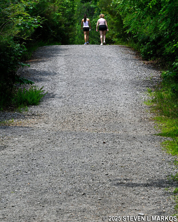 Small hill on the Old John Ward Trail in Kennesaw Mountain National Battlefield Park