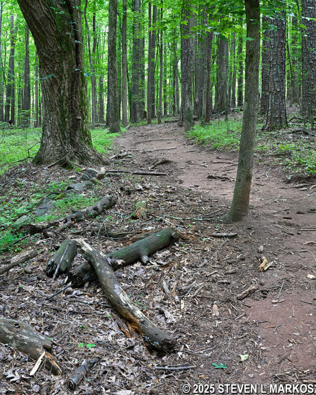 Hilly terrain on the western side of the Assault Trail in Kennesaw Mountain National Battlefield Park