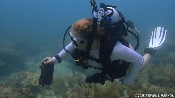 SCUBA diving at Biscayne National Park