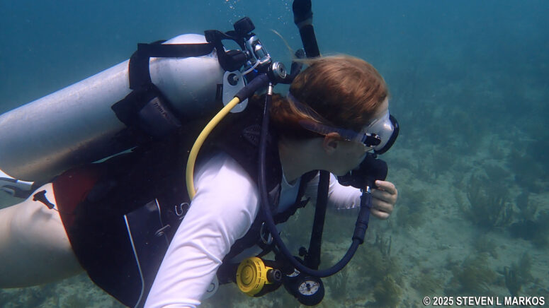 SCUBA diving at Biscayne National Park