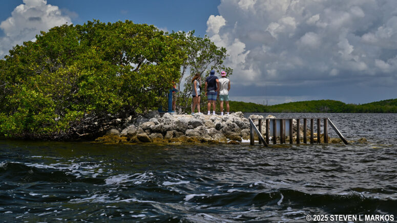 End of the Jetty Trail at high tide, Biscayne National Park