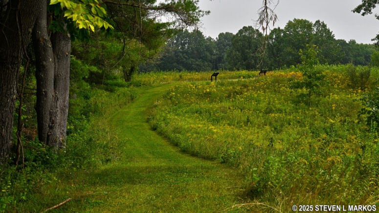 Grass trail leads to the location of the former South Redan at the Bemus Heights stop on the Saratoga Battlefield Tour, Saratoga National Historical Park