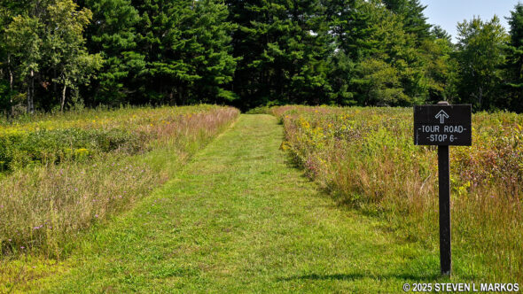 Trail to Freeman's Farm from Stop 4 on the Saratoga Battlefield Tour, Saratoga National Historical Park