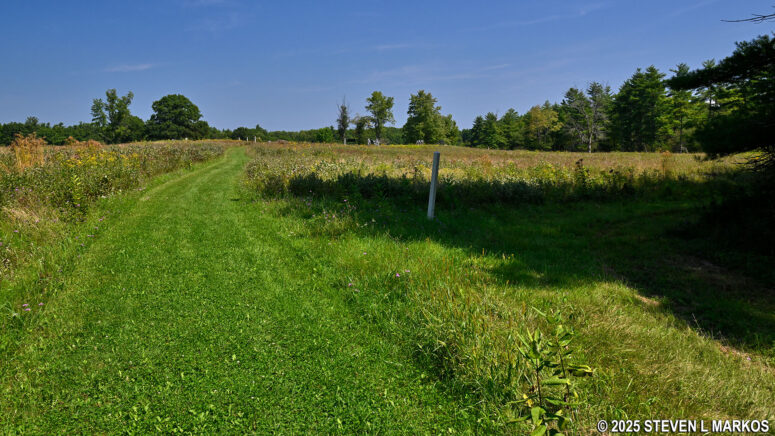 Side trail just before arriving at Freeman's Farm when hiking north from Stop 4 on the Saratoga Battlefield Tour, Saratoga National Historical Park
