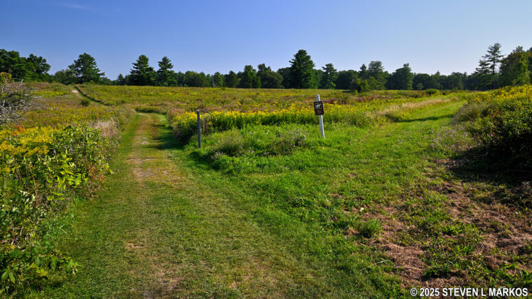 Wilkinson Trail intersects with one of the bridle trails in Saratoga National Historical Park