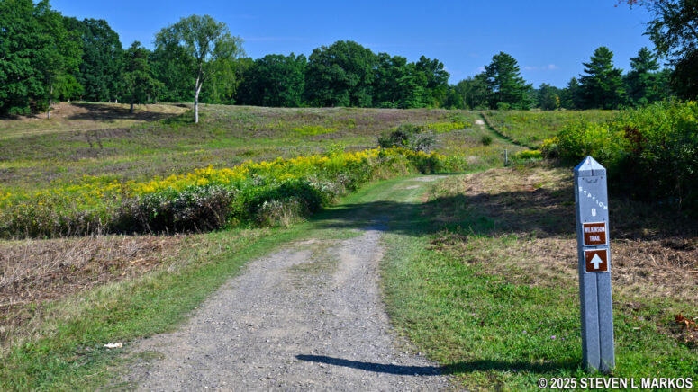 Typical terrain near Stop B on the Wilkinson Trail in Saratoga National Historical Park