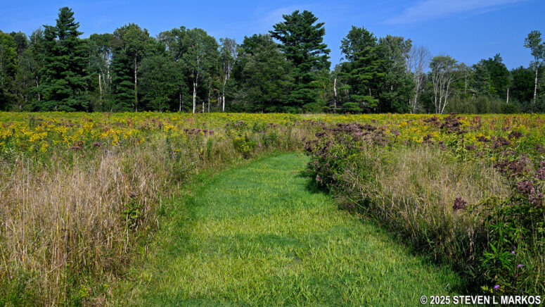 Typical terrain on the Wilkinson Trail at Saratoga National Historical Park between stops G and H