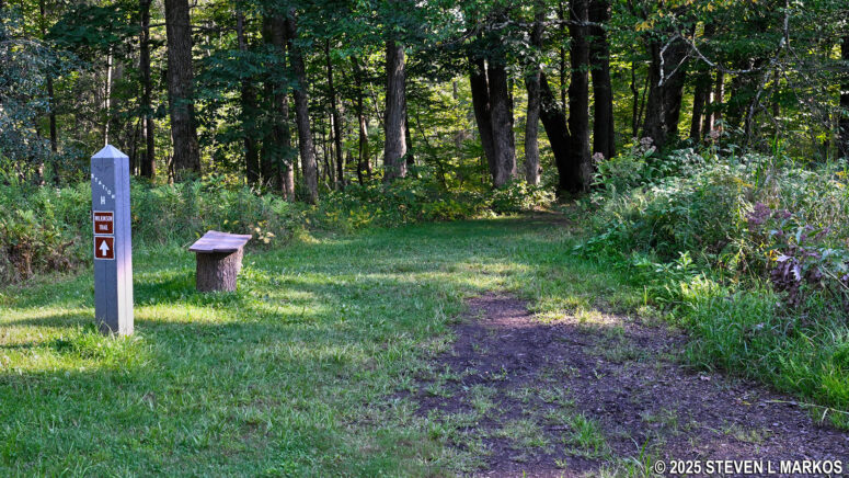 Beginning of a wooded section at Stop H on the Wilkinson Trail in Saratoga National Historical Park