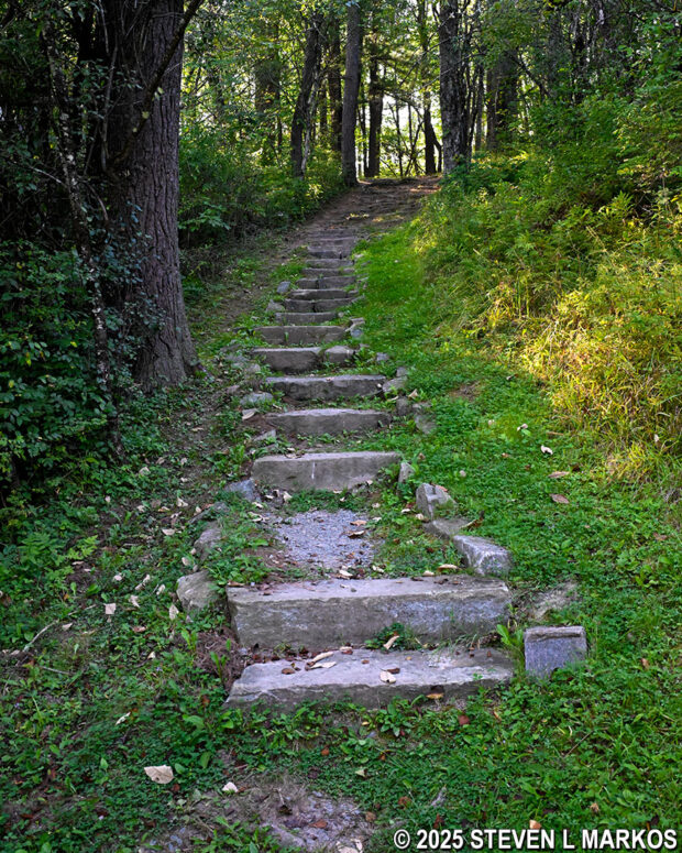 View from the bottom of the ravine near Stop I on the Wilkinson Trail in Saratoga National Historical Park