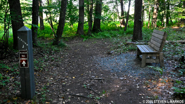 Stop J on the Wilkinson Trail at Saratoga National Historical Park