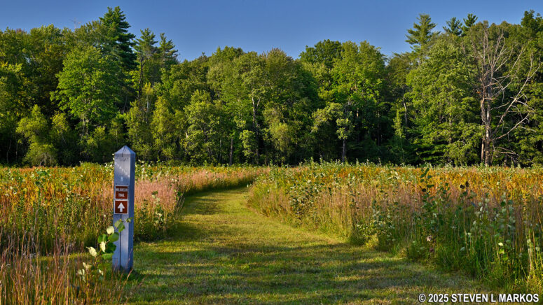 Stop K on the Wilkinson Trail at Saratoga National Historical Park