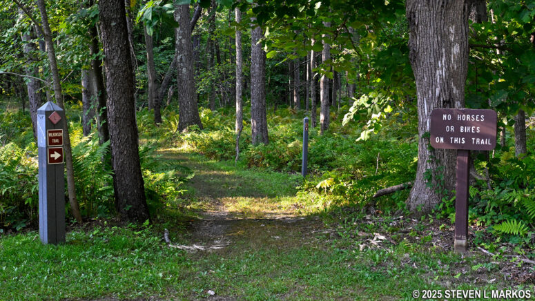 Forested section on the Wilkinson Trail begins at Stop L, Saratoga Historical National Park