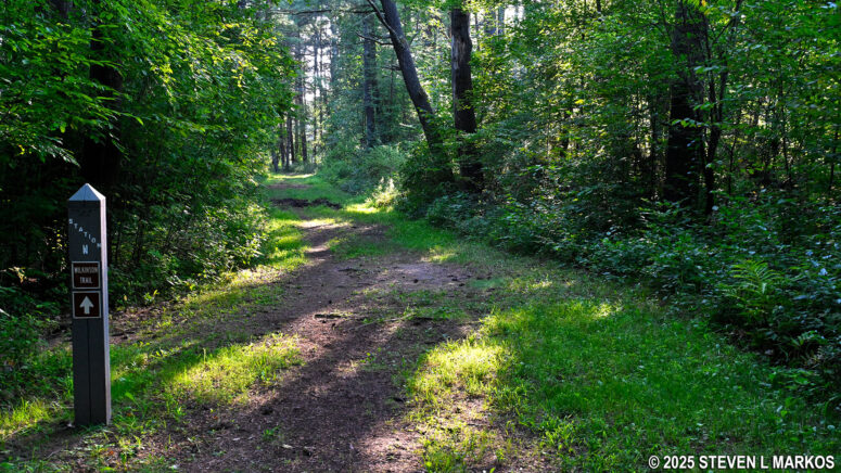 Stop N on the Wilkinson Trail at Saratoga National Historical Park