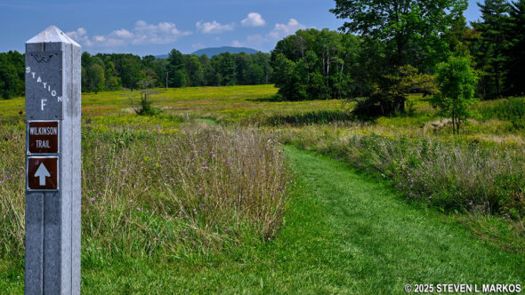 Wilkinson Trail at Saratoga National Historical Park