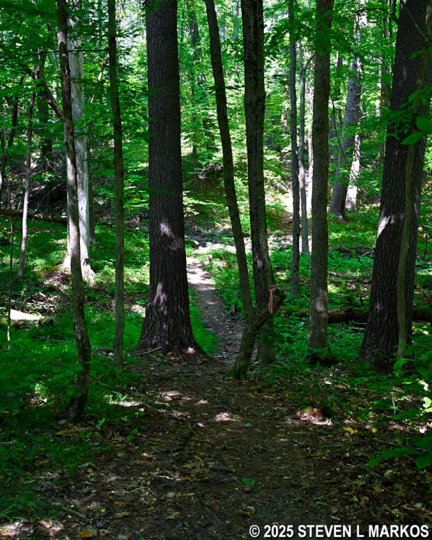 Typical terrain on the Liaison Trail, Saratoga National Historical Park