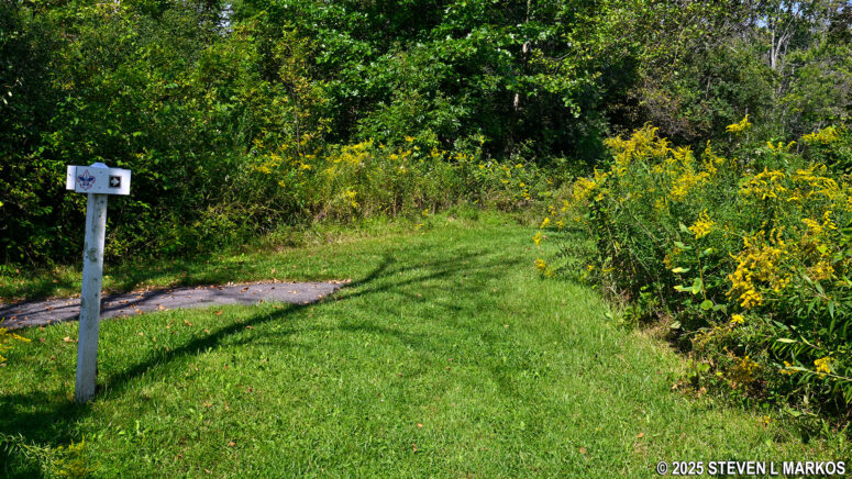 Intersection with the trail that leads back to the top of the bluff at Stop 10 on the Saratoga Battlefield Tour, Saratoga National Historical Park