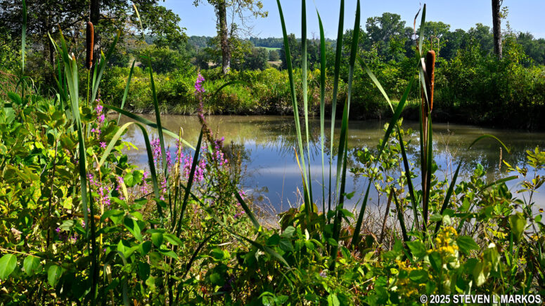 View of the Champlain Canal from the Refugee Trail at Stop 10 on the Saratoga Battlefield Tour, Saratoga National Historical Park