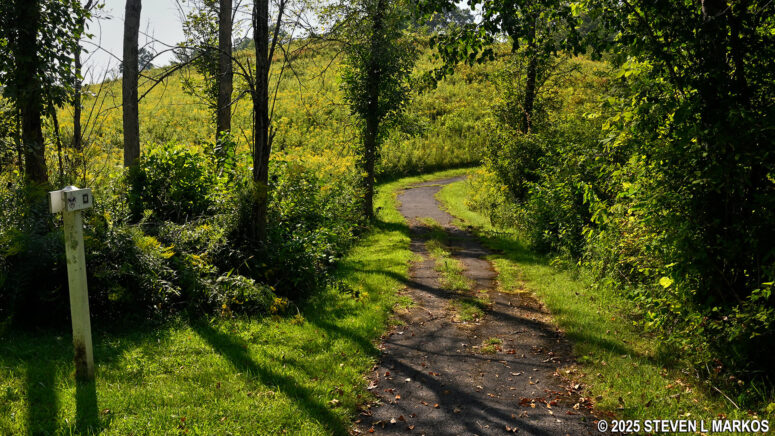 Start of the hike on the Refugee Trail back to the top of the bluff at Stop 10 on the Saratoga Battlefield Tour, Saratoga National Historical Park