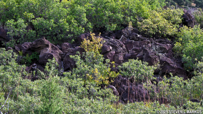 Lava levee along the Lava Flow Trail, Capulin Volcano National Monument