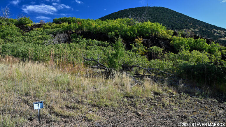 Lava levee at Stop 1 on the Lava Flow Trail, Capulin Volcano National Monument