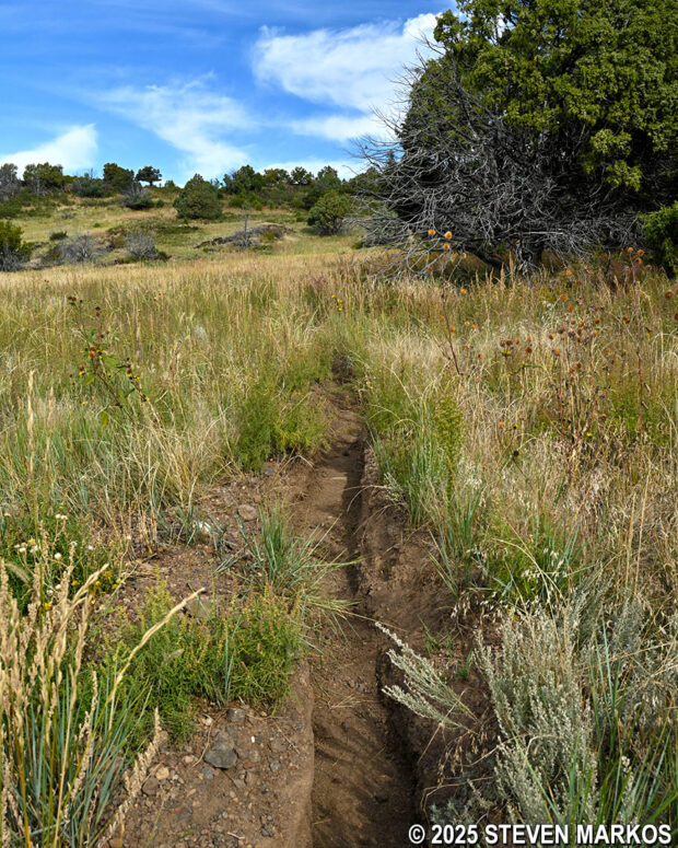 Trench-like section of the Lava Flow Trail at Capulin Volcano National Monument