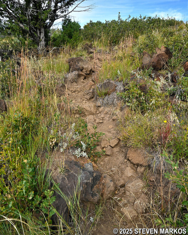 Rocky terrain on the Lava Flow Trail at Capulin Volcano National Monument