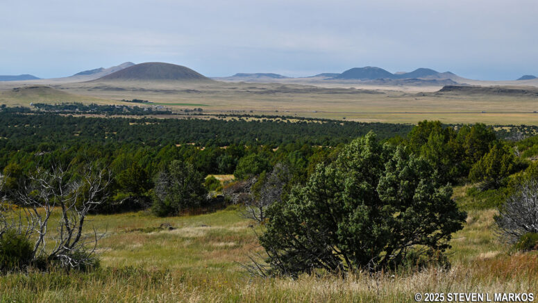 View of the Raton-Clayton Volcanic Field from Stop 5 on the Lava Flow Trail at Capulin Volcano National Monument