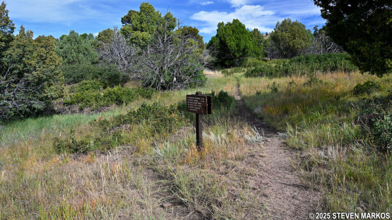 Intersection of the Lava Flow Trail and Picnic Area connector, Capulin Volcano National Monument