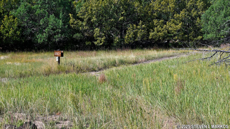 Back at the start of the loop section of the Lava Flow Trail, Capulin Volcano National Monument