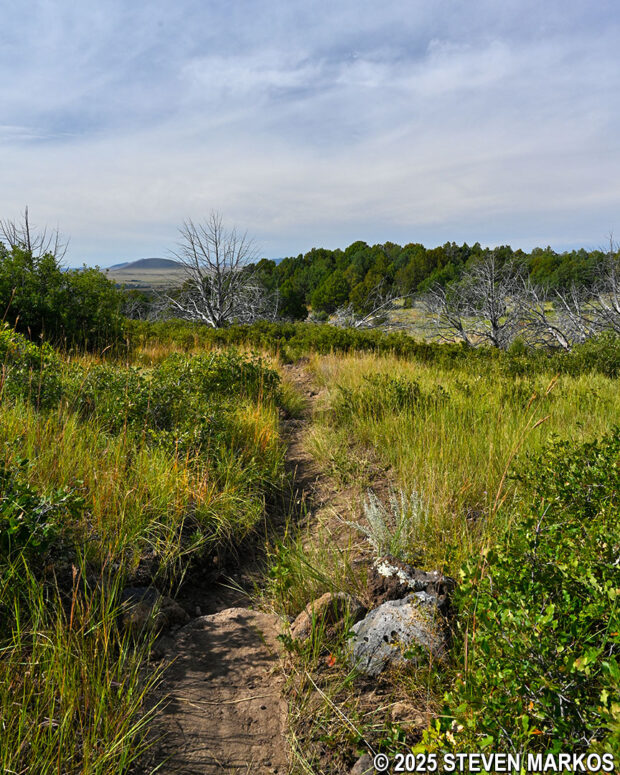 Typical terrain along the last leg of the Lava Flow Trail, Capulin Volcano National Monument