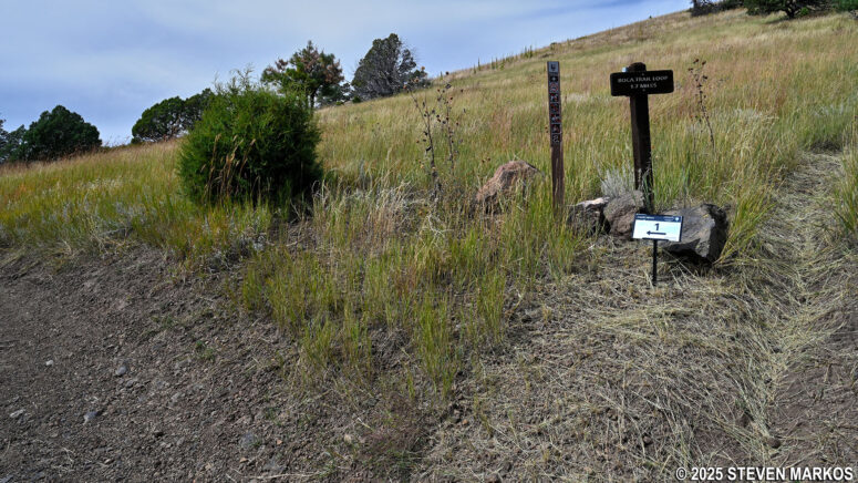 Plethora of directional signs at the start of the Boca Trail loop, Capulin Volcano National Monument