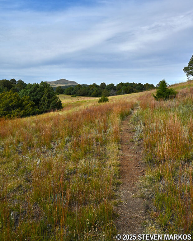 Typical terrain near Stop 2 on the Boca Trail at Capulin Volcano National Monument