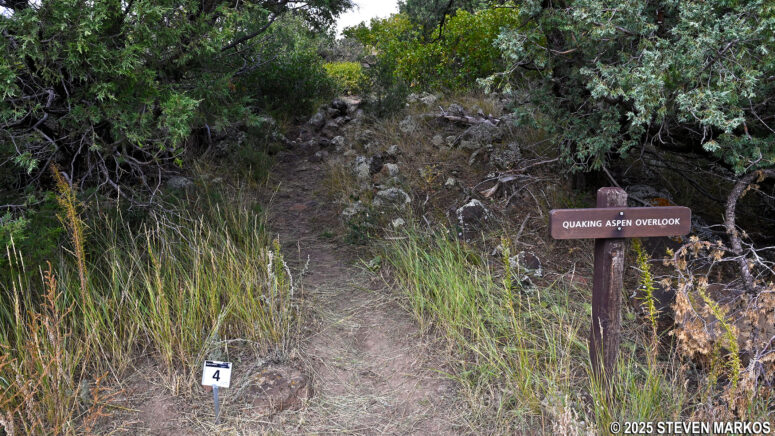 Path to Quaking Aspen Overlook at Stop 4 on the Boca Trail, Capulin Volcano National Monument