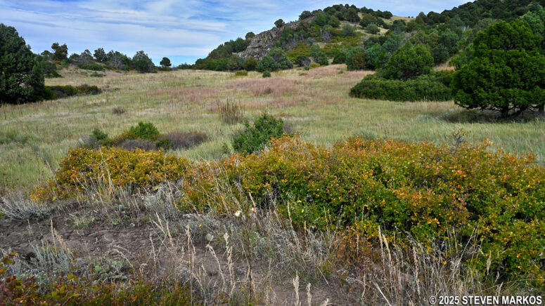 Meadow at Stop 6 on the Boca Trail, Capulin Volcano National Monument
