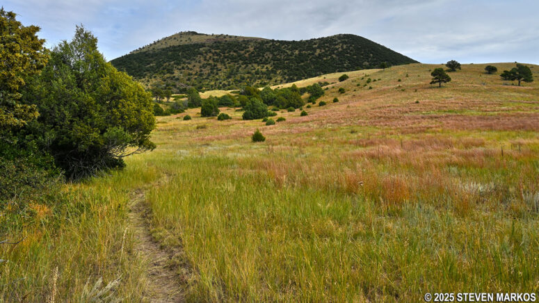 View of Capulin Volcano from the Boca Trail near Stop 5, Capulin Volcano National Monument