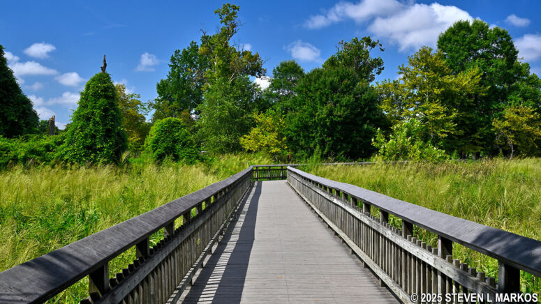 Marsh Boardwalk at Kenilworth Aquatic Gardens in Washington, D.C.
